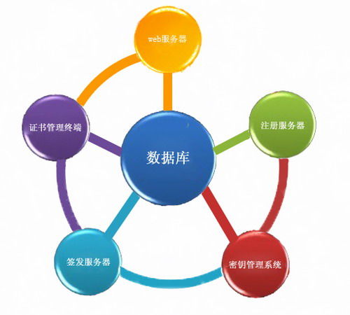 SRT1102身份認證系統 構建企業(yè)安全管理的堅固基石