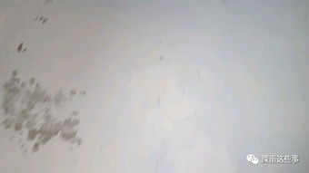 水質(zhì)涂料治理小廣告 效果真的好嗎？